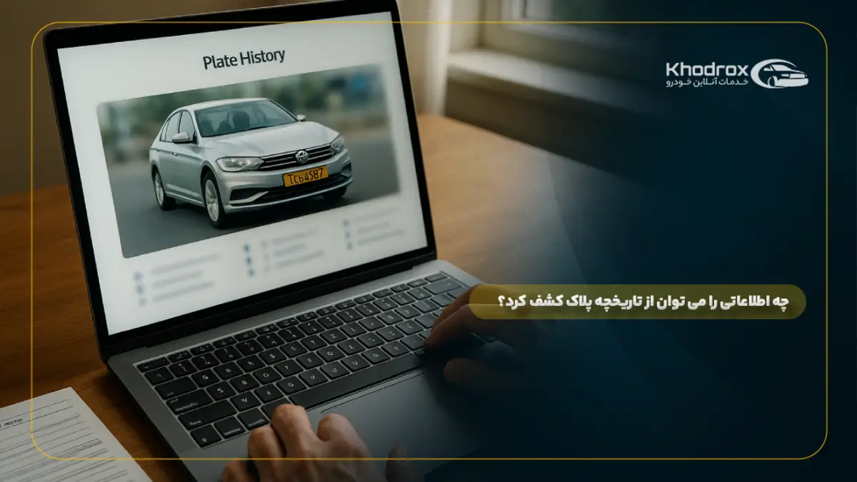 چه اطلاعاتی را می توان از تاریخچه پلاک کشف کرد؟